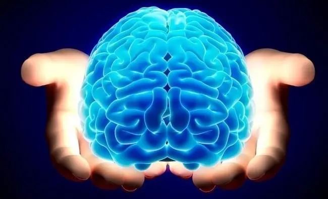 Ausbildung in Neurowissenschaften